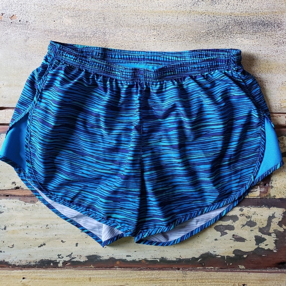 Blue Striped Nike Dri-Fit Running Shorts